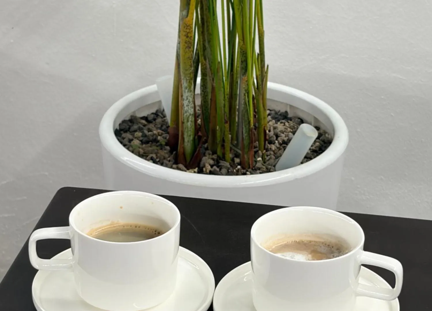 Carlton Hotel Incheon 3*,