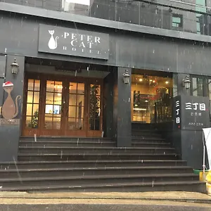 Petercat Shinchon Seoul